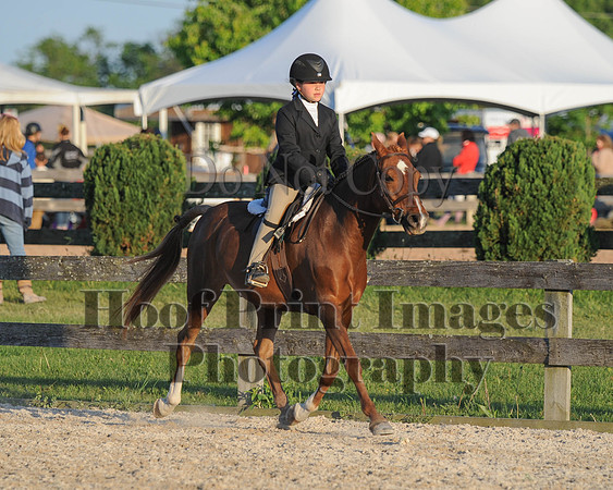 BRSa(5-17-14)SMChP0110
