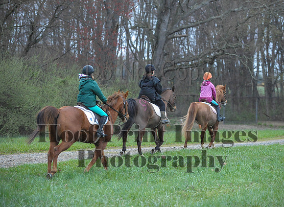 Foxcatcher(4-9-16)0359