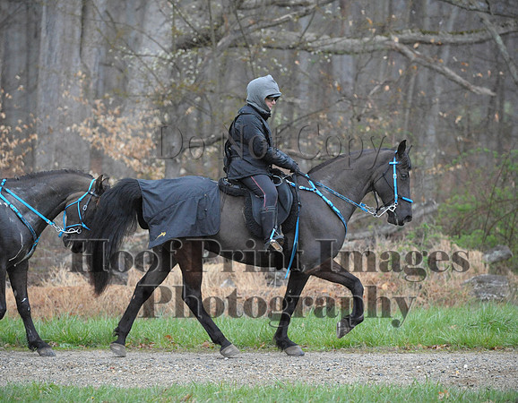 Foxcatcher(4-9-16)0370