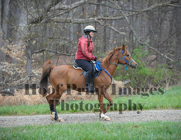 Foxcatcher(4-9-16)0230