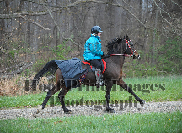 Foxcatcher(4-9-16)0272