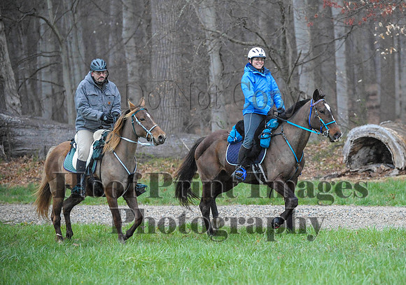 Foxcatcher(4-9-16)0312