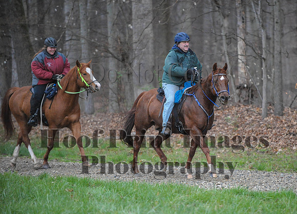Foxcatcher(4-9-16)0411