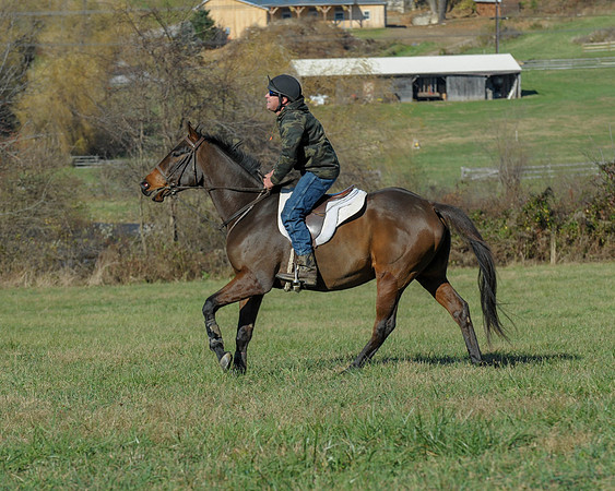 BHPC(11-15-15)0406