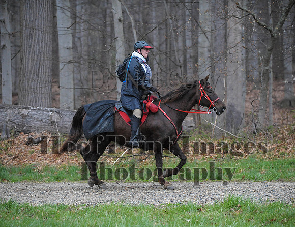 Foxcatcher(4-9-16)0438