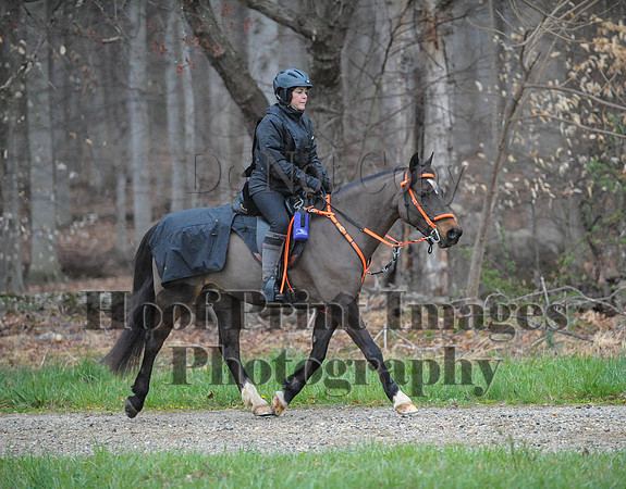 Foxcatcher(4-9-16)0278