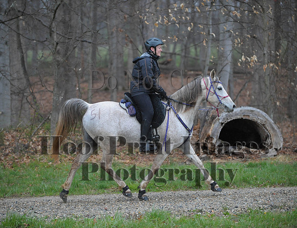 Foxcatcher(4-9-16)0493