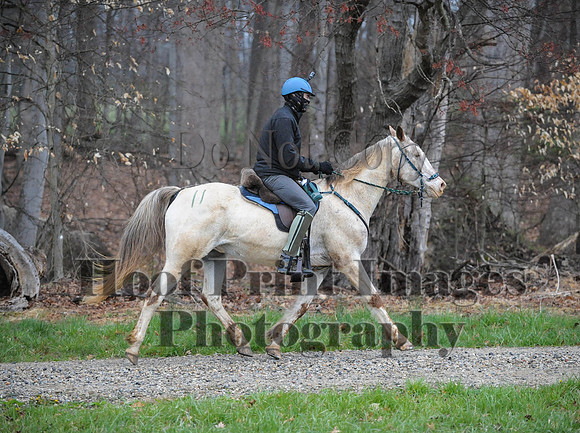 Foxcatcher(4-9-16)0446