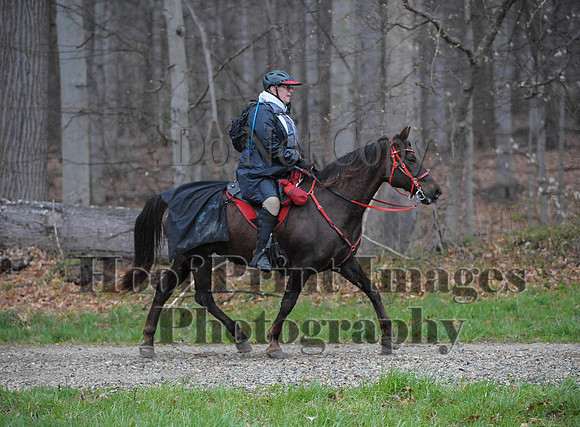 Foxcatcher(4-9-16)0439