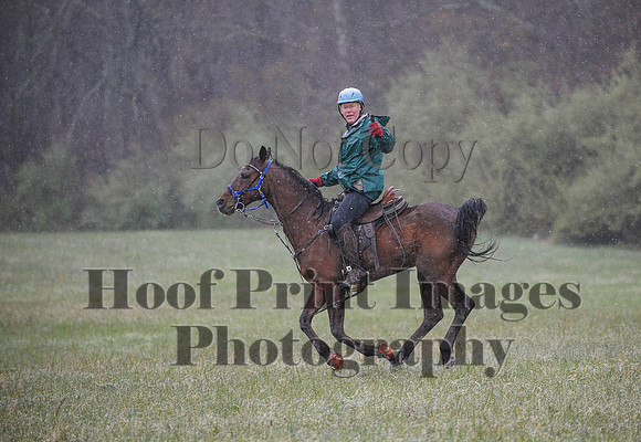 Foxcatcher(4-9-16)0913