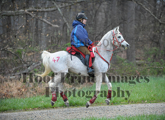 Foxcatcher(4-9-16)0156