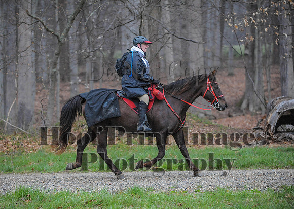 Foxcatcher(4-9-16)0441