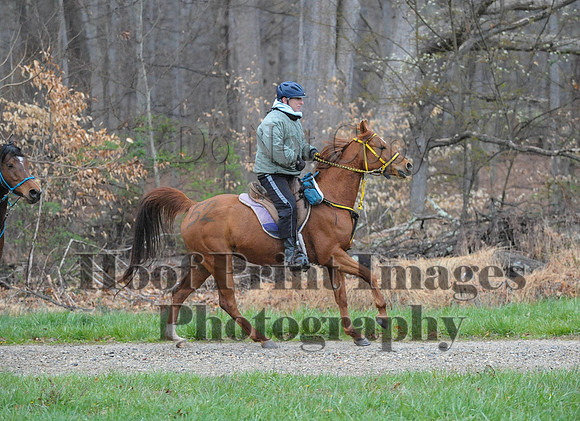 Foxcatcher(4-9-16)0218
