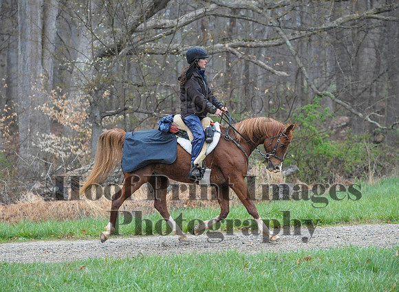 Foxcatcher(4-9-16)0237