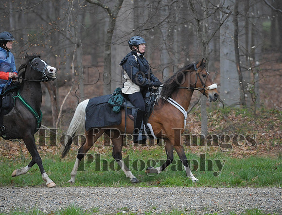 Foxcatcher(4-9-16)0510