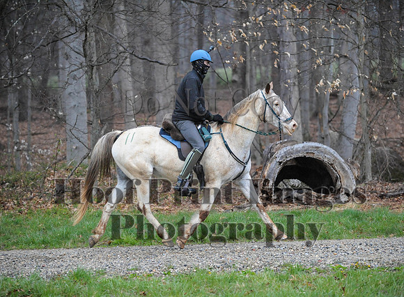 Foxcatcher(4-9-16)0445