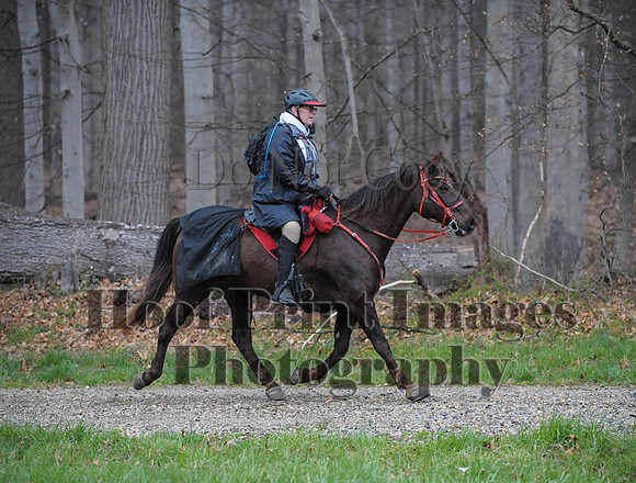 Foxcatcher(4-9-16)0437
