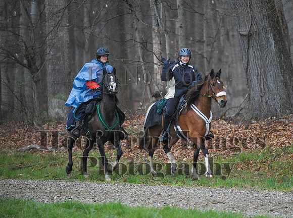 Foxcatcher(4-9-16)0502
