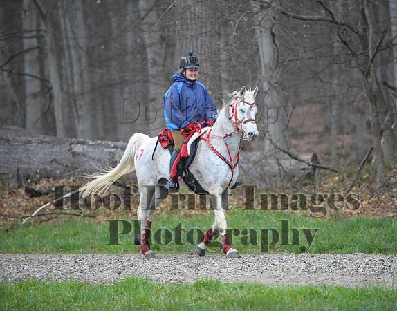 Foxcatcher(4-9-16)0143