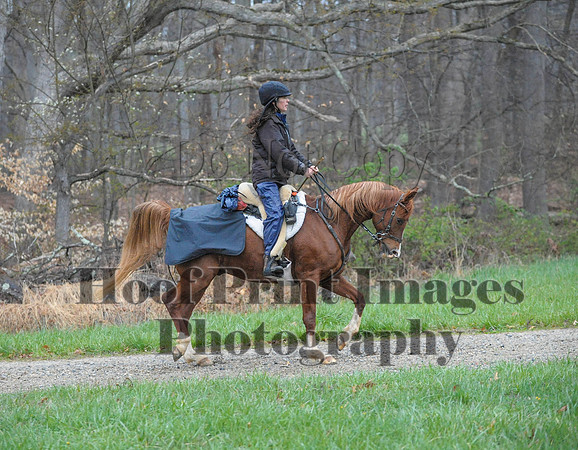 Foxcatcher(4-9-16)0238