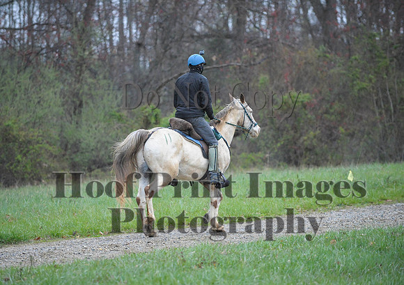 Foxcatcher(4-9-16)0450