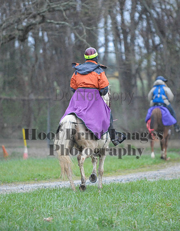 Foxcatcher(4-9-16)0207