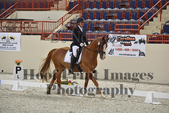 CWdressageI(8-20-16)0519
