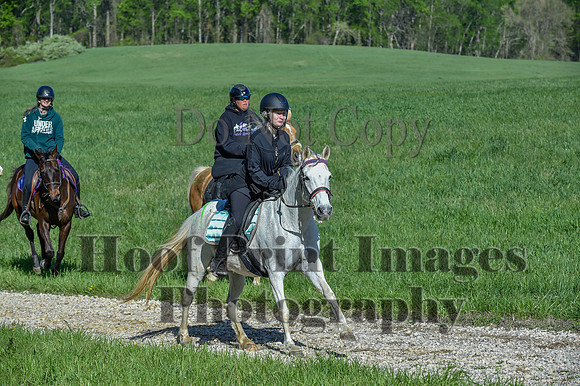 ChesapeakeSpring(4-27-25)0538