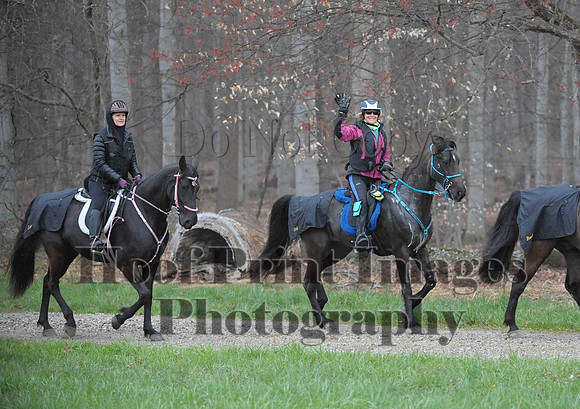 Foxcatcher(4-9-16)0368