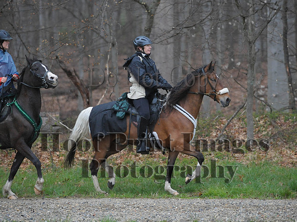 Foxcatcher(4-9-16)0509