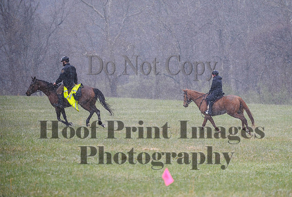 Foxcatcher(4-9-16)0933