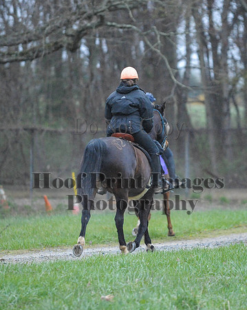 Foxcatcher(4-9-16)0205