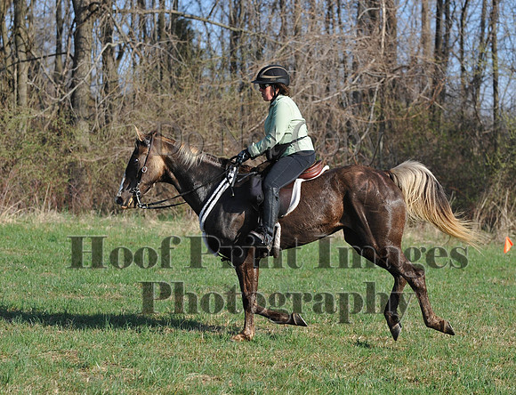 Foxcatcher(4-12-14)0573