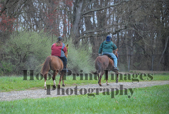 Foxcatcher(4-9-16)0430