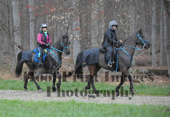 Foxcatcher(4-9-16)0366