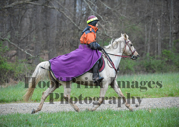 Foxcatcher(4-9-16)0203