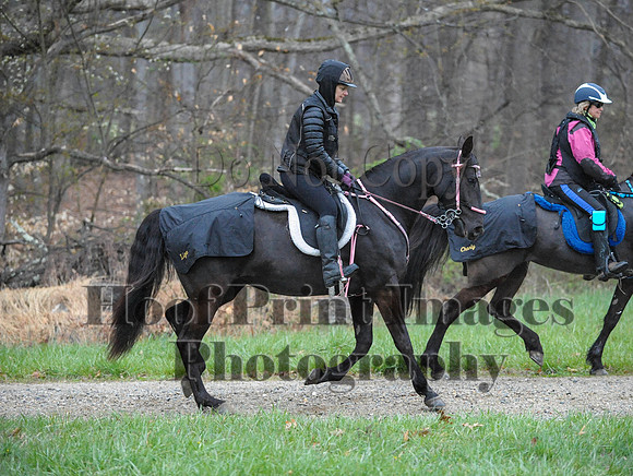Foxcatcher(4-9-16)0374