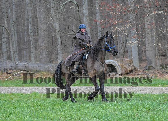 Foxcatcher(4-9-16)0323