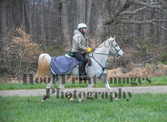 Foxcatcher(4-9-16)0117