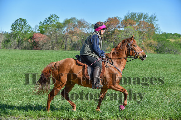 ChesapeakeSpring(4-27-25)0457