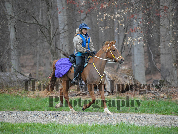 Foxcatcher(4-9-16)0177