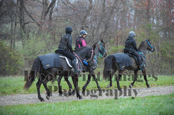 Foxcatcher(4-9-16)0377