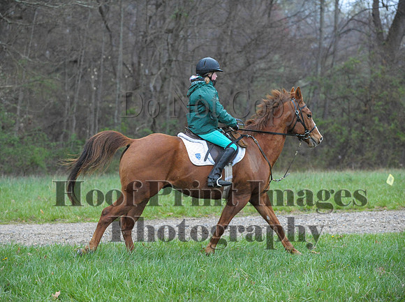 Foxcatcher(4-9-16)0356