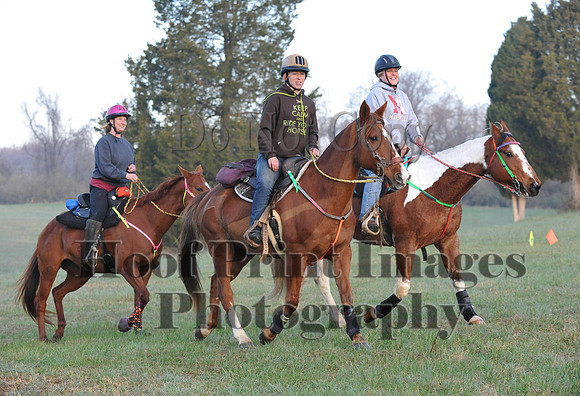 Foxcatcher(4-12-14)0179
