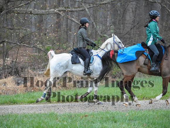 Foxcatcher(4-9-16)0129