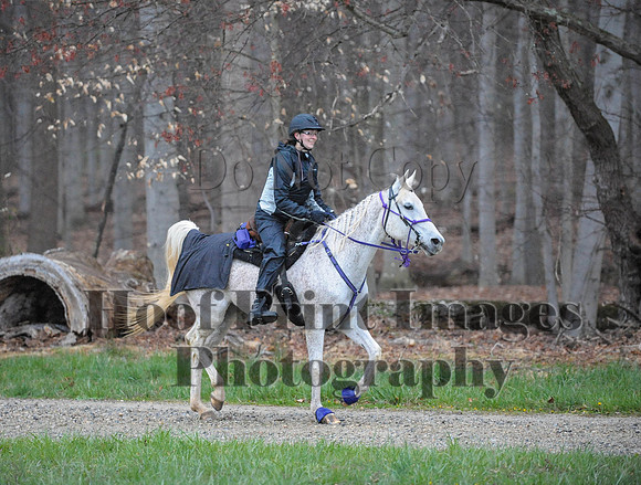Foxcatcher(4-9-16)0058