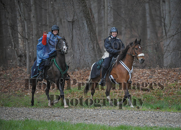 Foxcatcher(4-9-16)0503