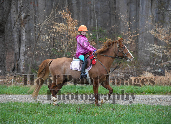 Foxcatcher(4-9-16)0342