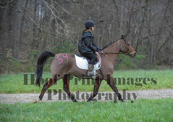 Foxcatcher(4-9-16)0351