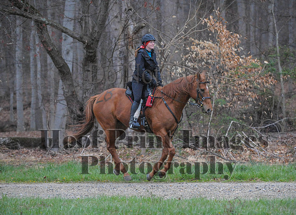 Foxcatcher(4-9-16)0040